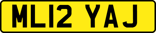 ML12YAJ
