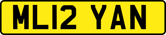 ML12YAN
