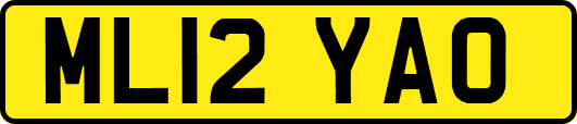 ML12YAO