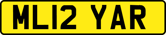 ML12YAR