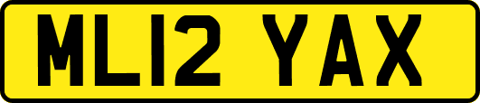 ML12YAX