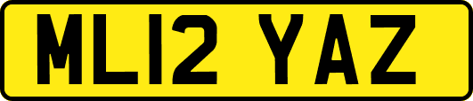 ML12YAZ