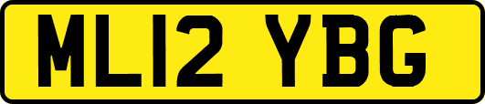 ML12YBG
