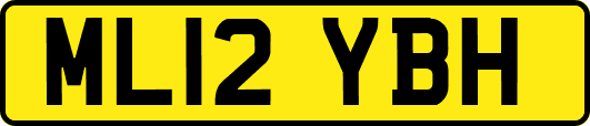 ML12YBH