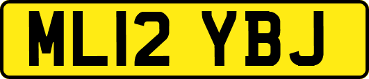 ML12YBJ