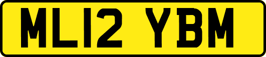 ML12YBM