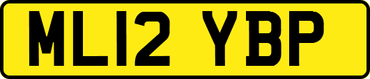 ML12YBP