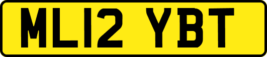 ML12YBT