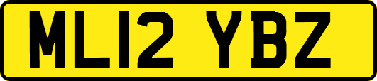 ML12YBZ