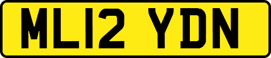 ML12YDN