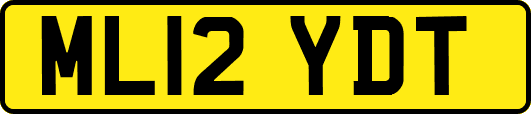 ML12YDT