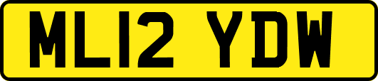 ML12YDW