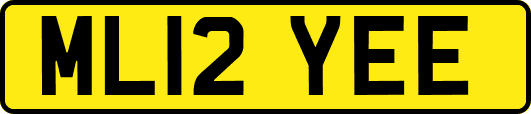 ML12YEE