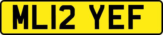 ML12YEF