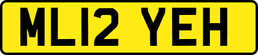 ML12YEH