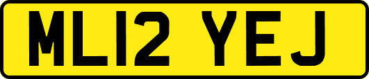 ML12YEJ