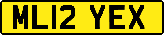 ML12YEX