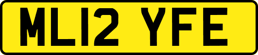 ML12YFE