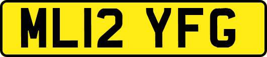 ML12YFG
