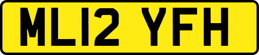 ML12YFH