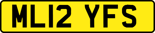ML12YFS