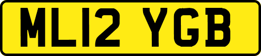 ML12YGB
