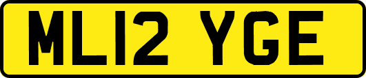 ML12YGE