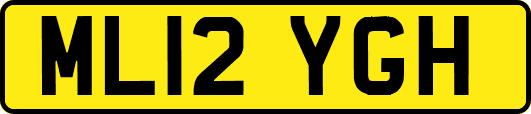 ML12YGH