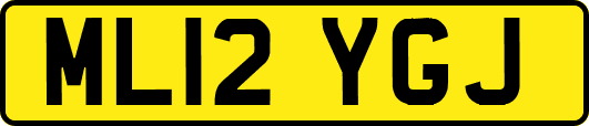 ML12YGJ