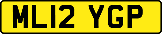 ML12YGP
