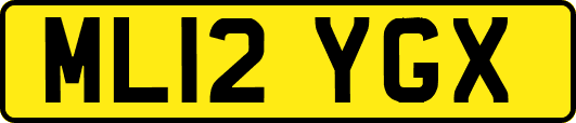 ML12YGX
