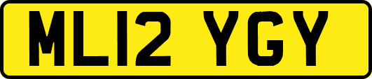 ML12YGY