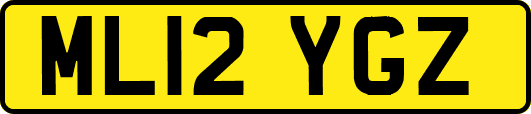 ML12YGZ