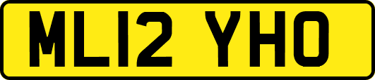 ML12YHO
