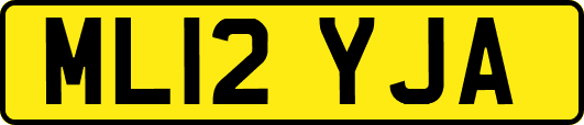 ML12YJA