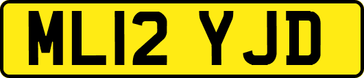 ML12YJD
