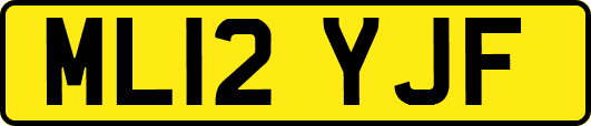 ML12YJF