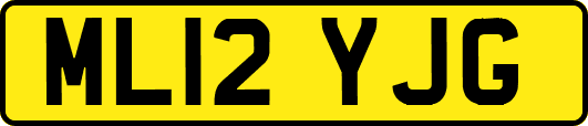 ML12YJG