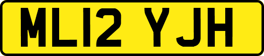 ML12YJH