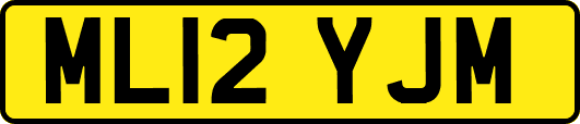 ML12YJM