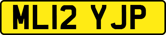 ML12YJP