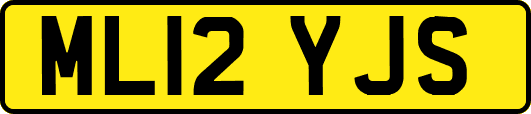 ML12YJS