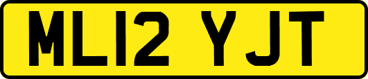 ML12YJT