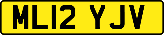 ML12YJV