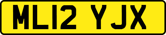 ML12YJX