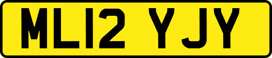 ML12YJY
