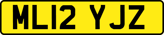 ML12YJZ