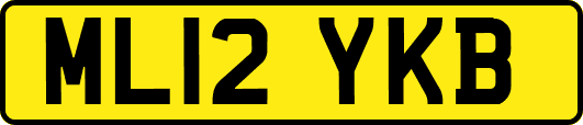 ML12YKB