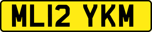 ML12YKM