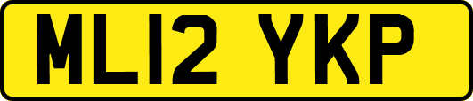 ML12YKP